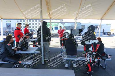 media/Jan-13-2025-Ducati Revs (Mon) [[8d64cb47d9]]/1-Around the Pits/